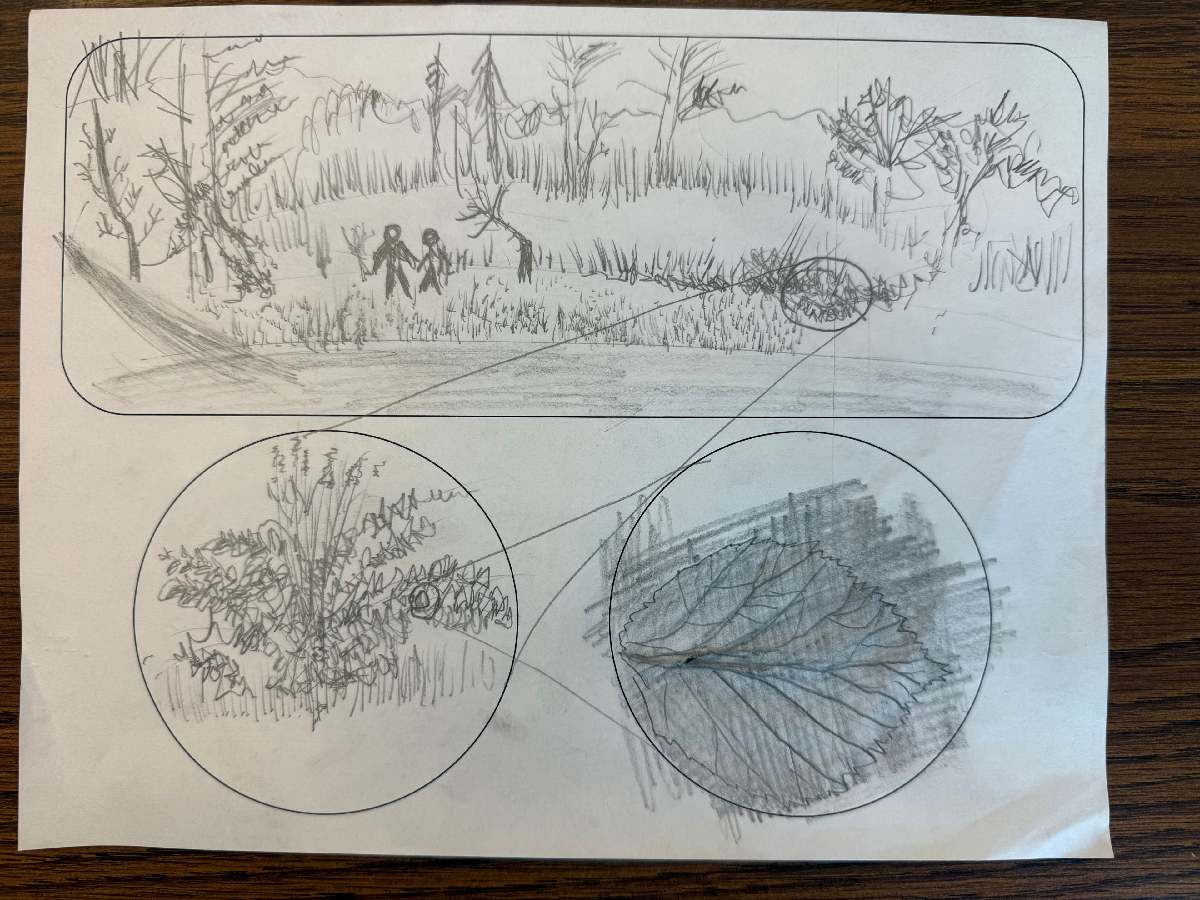 Field Trip to East Jericho Park